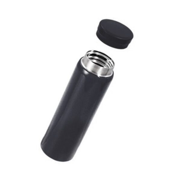 IRIS 316 Stainless Steel Thermal Flask - 280ml
