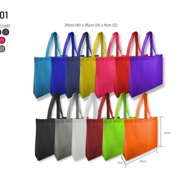 Non Woven Bag 001
