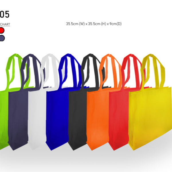 Non Woven Bag 005