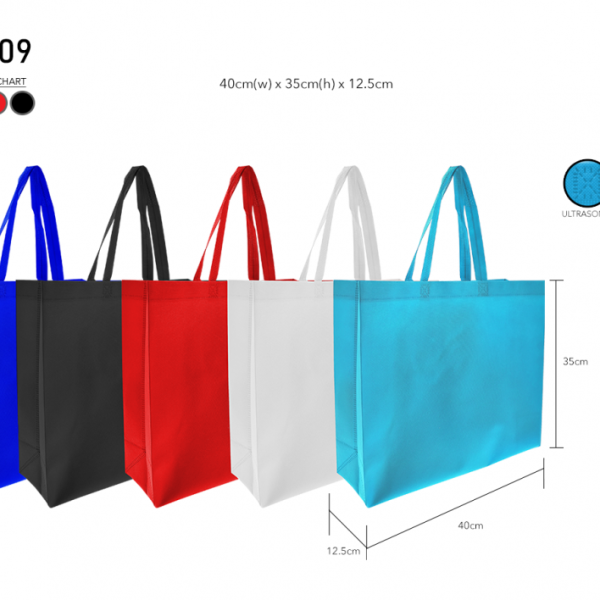 Non Woven Bag 009