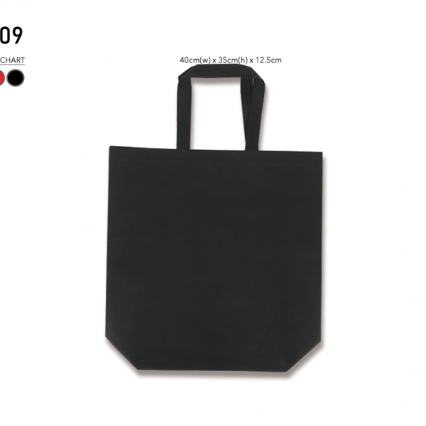 Non Woven Bag 009