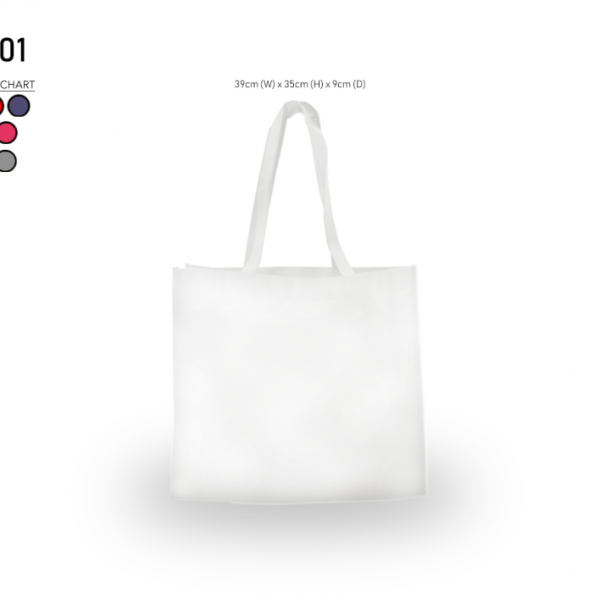 Non Woven Bag 001