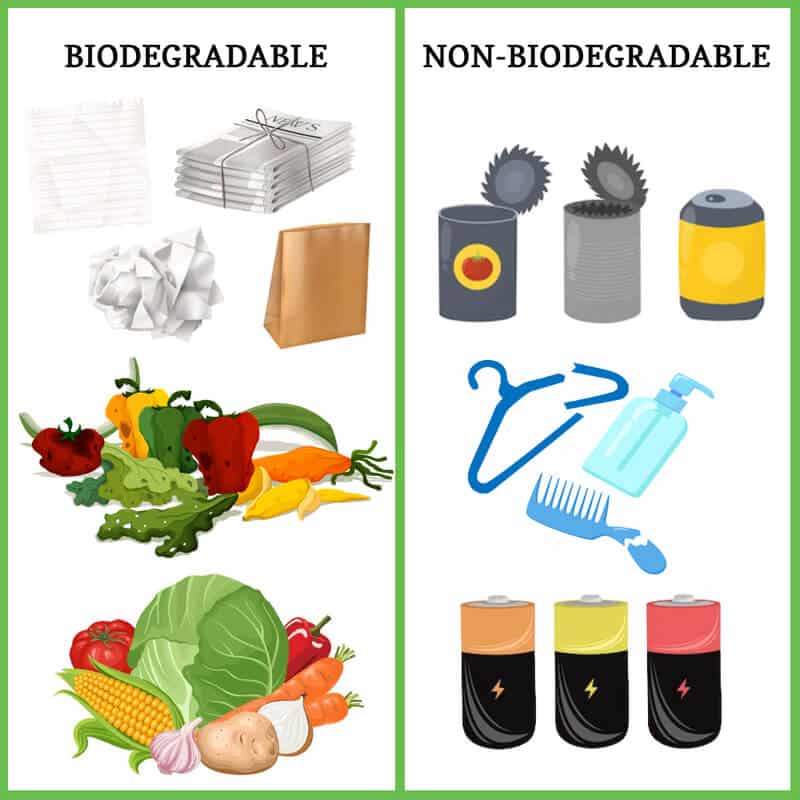 Eco-friendly Bags: Why Eco?